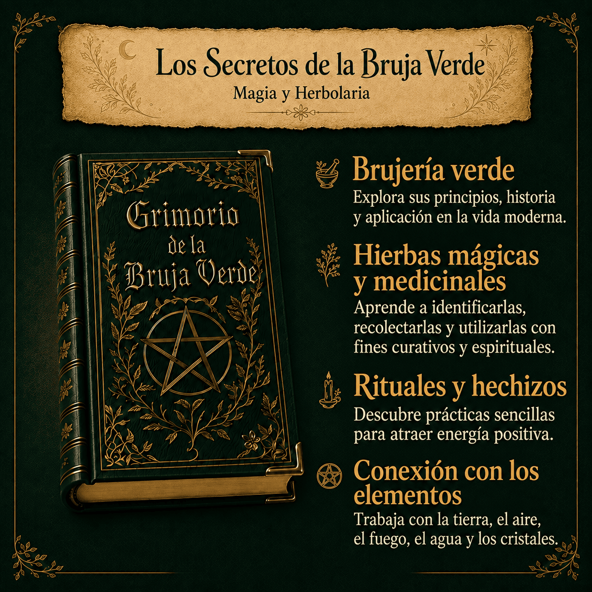 Los Secretos de La Bruja Verde — Magia y Herbolaria 🍃✨